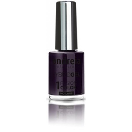 Andreia Verniz Hybrid Gel -Step1- H29 10.5ml