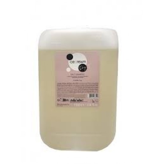 Inebrya Ice Cream Dry-T Shampoo 10Lt's