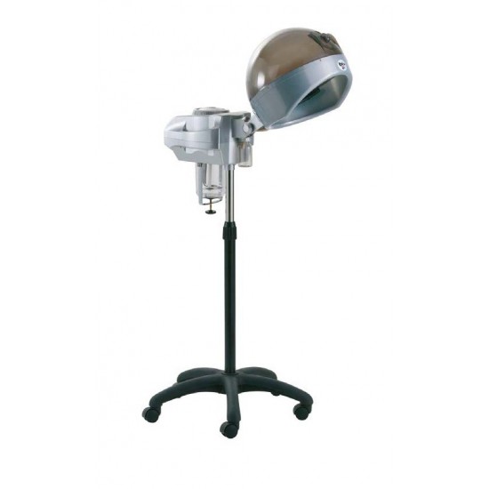 Vaporizador de Cabelo de Pé 750W